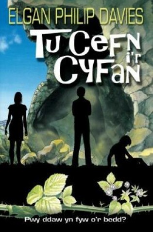 Cover of Tu Cefn i'r Cyfan