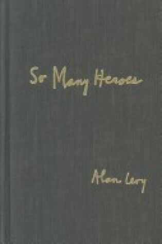 Cover of So Many Heroes