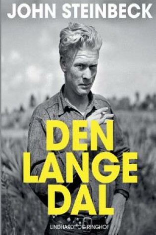 Cover of Den lange dal
