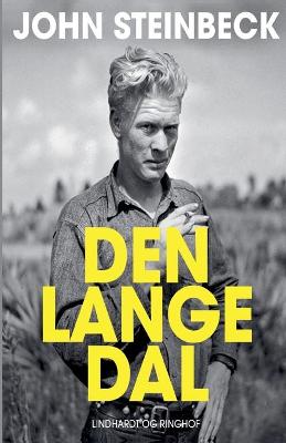 Book cover for Den lange dal