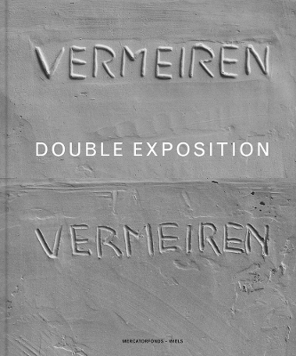 Book cover for Didier Vermeiren