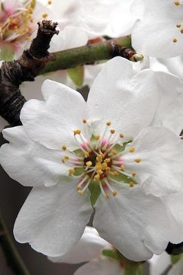 Book cover for Lovely White Almond Blossom Up Close Flower Journal