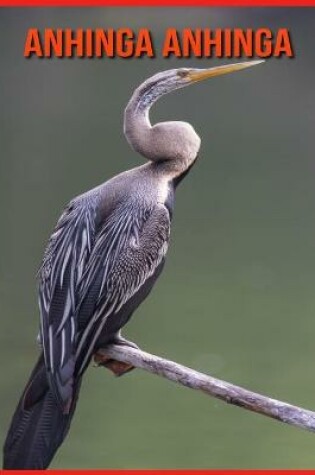 Cover of Anhinga anhinga