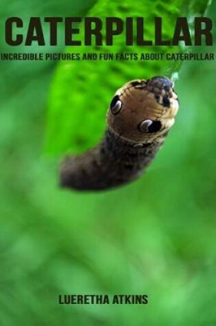 Cover of Caterpillar