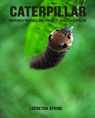 Book cover for Caterpillar