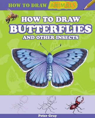 Book cover for How to Draw Butterflies and Other Insects