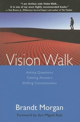 Book cover for Vision Walk