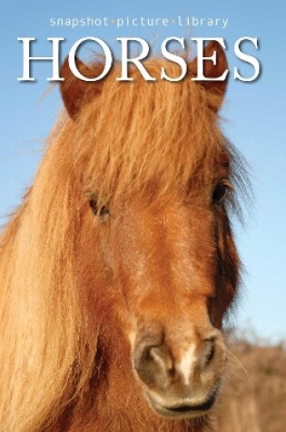 Cover of Horses