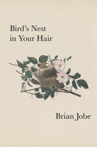 Cover of Birds Nest In Your Hair