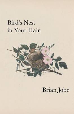 Book cover for Birds Nest In Your Hair