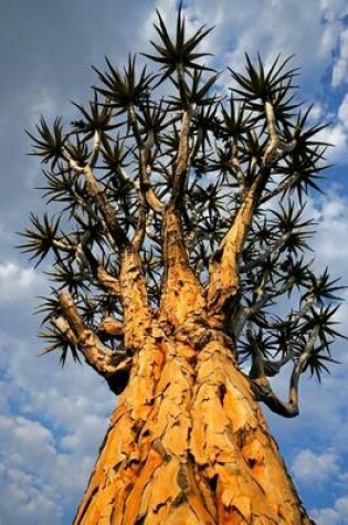 Cover of African Quiver Tree (Aloe Dichotoma( Succulent Journal