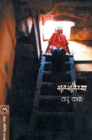 Cover of Bhulbhulaiya