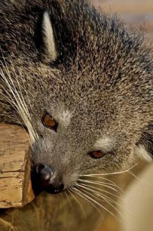 Cover of Cool Binturong Bearcat Animal Portrait Journal