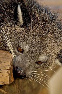 Book cover for Cool Binturong Bearcat Animal Portrait Journal