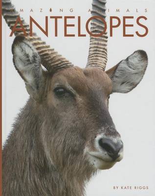 Book cover for Antelopes