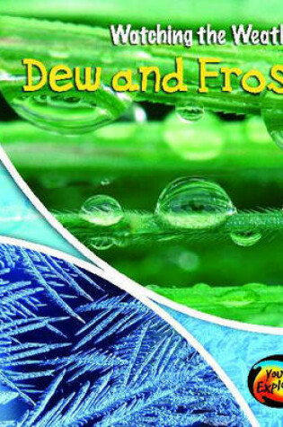 Cover of Dew And Frost
