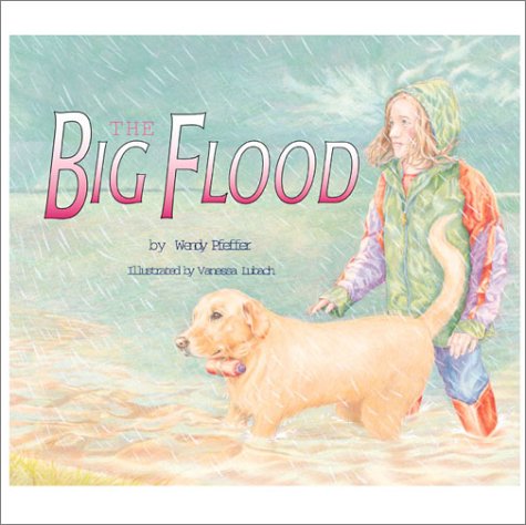 Book cover for The Big Flood