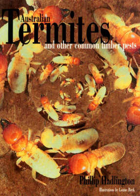 Book cover for Australian Termites and Other Common Timber Pests