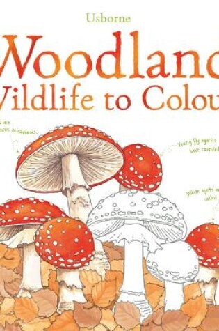 Cover of Woodland Wildlife to Colour