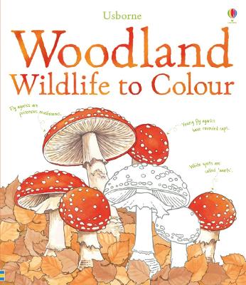Book cover for Woodland Wildlife to Colour