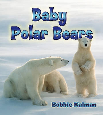 Book cover for Baby Polar Bears