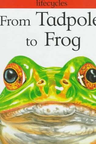 Cover of From Tadpole to Frog