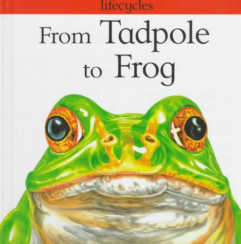 Book cover for From Tadpole to Frog