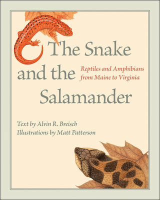 Book cover for The Snake and the Salamander