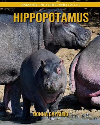 Book cover for Hippopotamus