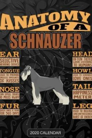 Cover of Anatomy Of A Schnauzer