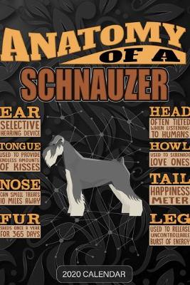 Book cover for Anatomy Of A Schnauzer