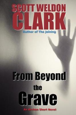 Book cover for From Beyond the Grave