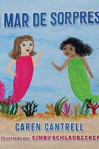 Cover of UN MAR de SORPRESAS