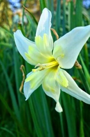 Cover of Star of Bethlehem Ornithogalum Flower Journal