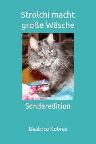 Cover of Strolchi macht große Wäsche