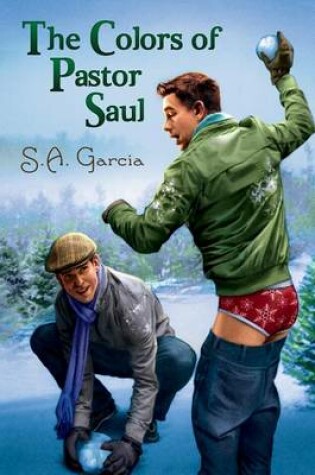 Cover of The Colors of Pastor Saul