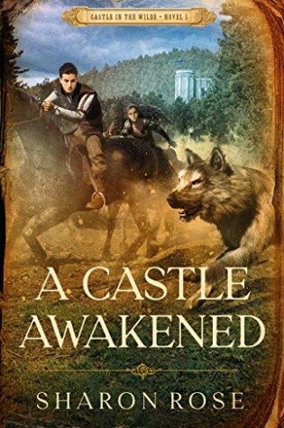 Cover of A Castle Awakened