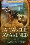 Book cover for A Castle Awakened