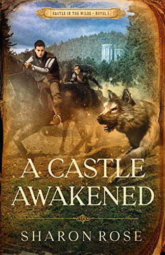 Book cover for A Castle Awakened