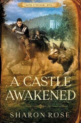 Cover of A Castle Awakened