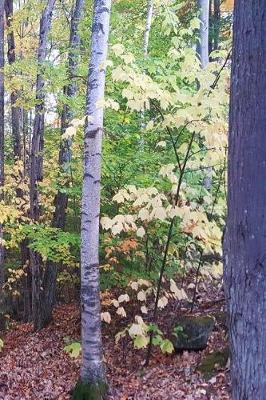 Cover of Journal Fall Foliage Autumn Trees