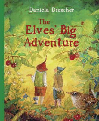 Book cover for The Elves' Big Adventure