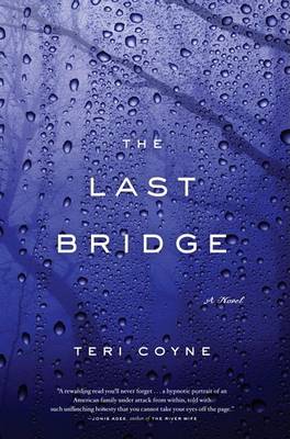 Book cover for The Last Bridge