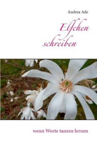 Cover of Elfchen schreiben