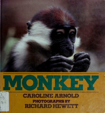 Book cover for Monkey