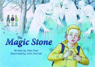 Book cover for The Magic Stone