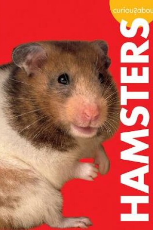 Cover of Curious about Hamsters