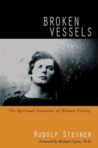 Cover of Broken Vessels