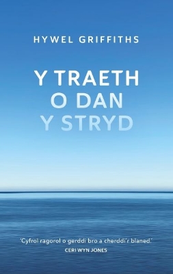 Book cover for Traeth o dan y Stryd, Y