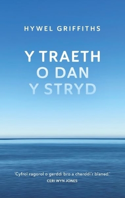 Book cover for Y Traeth o dan y Stryd